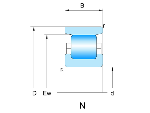 NN3006TBKR